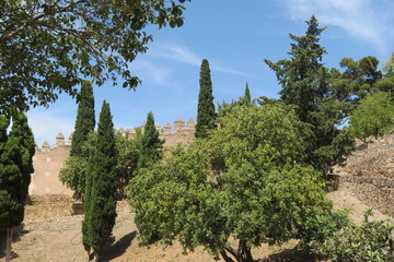 Espagne - Andalousie - Malaga - Muraille du Chateau de Gilbralfaro