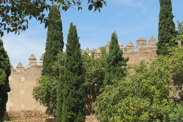 Fototapeta premium Espagne - Andalousie - Malaga - Remparts du Chateau de Gilbralfaro