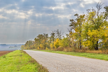 Autumn landscape with road, acacia trees on cloudy sky backgroun
