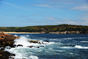 rocky sea coast in Acadia National Park