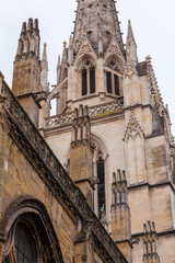 Fototapeta na wymiar Stone Carving of Cathedral Sainte-Marie de Bayonne