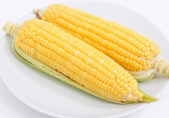 Fresh corn on white background