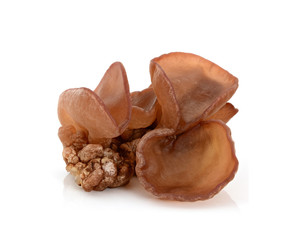 Fresh wood ear mushroom on white