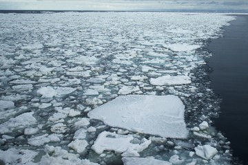 世界自然遺産知床の流氷 © kat334