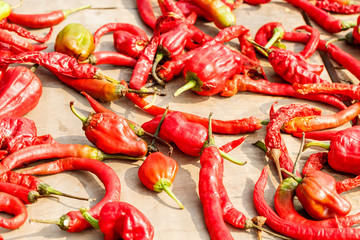 Red chili drying in the sun