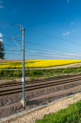 Electrified double track with rapeseed field