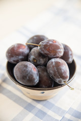 Zwetschgen, Pflaumen 