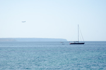 Fototapeta premium PALMA DE MALLORCA CAPITAL CIUDAD DETALES PALMERAS