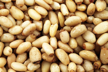 Pine Nuts Super Macro