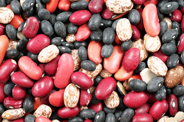 Bean Mix Close Up