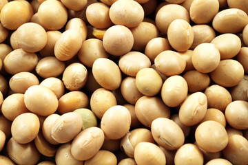 Soybeans Super Macro