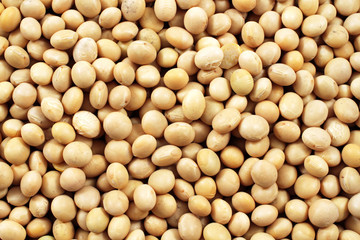 Soybeans Close Up