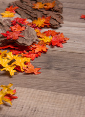 Obraz premium Herbstblätter