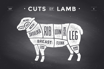 Cut of beef set. Poster Butcher diagram and scheme - Lamb © foxysgraphic