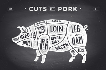 Cut of meat set. Poster Butcher diagram, scheme and guide - Pork. Vintage typographic hand-drawn. illustration.