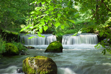 Waterfall in the forest.