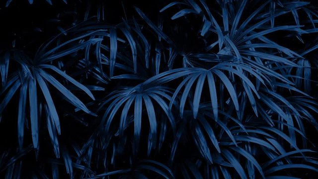 Jungle Plants Swaying At Night