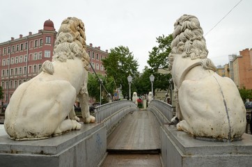 ,,Lion,, the bridge in Saint-Petersburg.