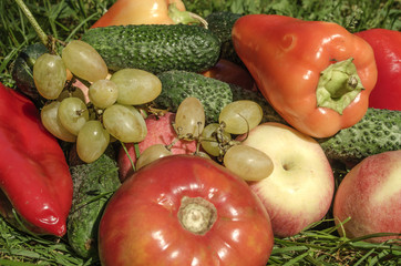 Still life with delicious and juicy fruits and vegetables in the grass

