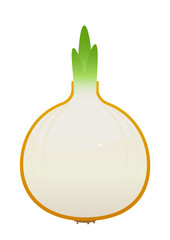 beautiful bright juicy onion on white background