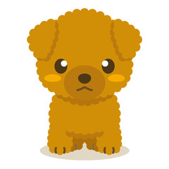 いぬっこ倶楽部 トイプードル