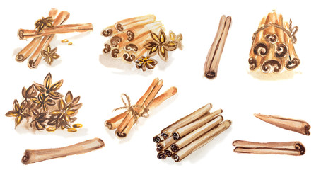 Watercolor spices set. All types of spices as cinnamon, anise, nutmeg, vanilla and more. Brown art.