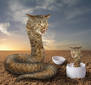 A cat looks like a big hairy snake. There is its cub in a egg near it.