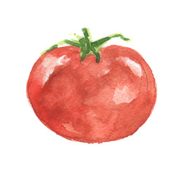 Isolated watercolor tomato. Fresh and healthy vegetable with vitamins. Farm vegetables.