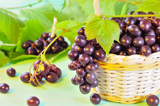 Grape and leaves in basket on wooden table