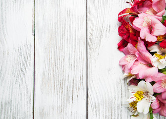 alstroemeria flowers on a table