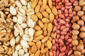 Nuts background