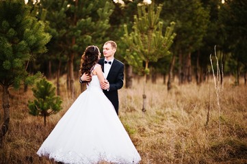 Lovely wedding couple  in a pine forest