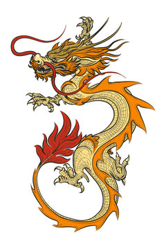 Asian dragon vector illustration. Chinese vintage oriental draghi