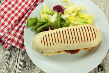 panini 06092016