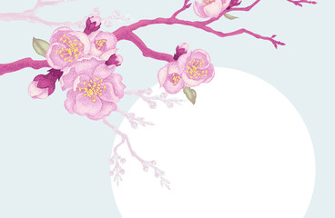 Illustration with Sakura.