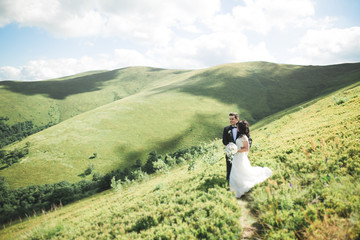 Fototapeta premium Kissing wedding couple staying over beautiful landscape