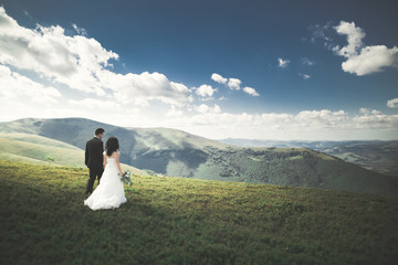 Beautiful wedding couple, bride and groom, in love on the background of mountains