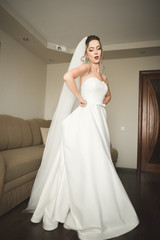 Fototapeta na wymiar Luxury bride on the morning of wedding day