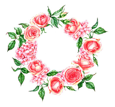 Hand-drawn watercolor illustration of the pink tender rose wreath. Romantic spring floral drawing. Roses and hydrangea wreath isolated on the white background