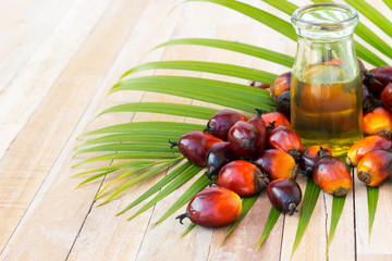 Commercial palm oil cultivation. Since palm oil contains more sa