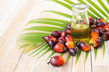 Commercial palm oil cultivation. Since palm oil contains more sa