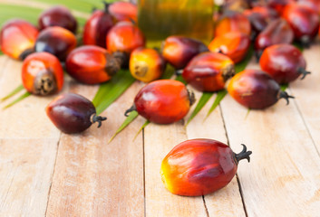 Commercial palm oil cultivation. Since palm oil contains more sa