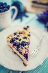 Delicious piece of cake with blueberries served on a plate in the garden.