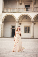 Fototapeta premium Beautiful girl, model with long hair posing in old castle near columns. Krakow Vavel