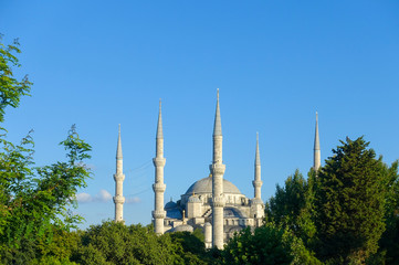 Fototapeta na wymiar Blue Mosque Istanbul behind trees