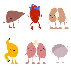 Cute cartoon anatomy vector set. Human organs -  heart,  lungs, kidneys, brain, liver, stomach. Funny childish illustration.