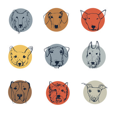 Dog logo collection. Handdrawn dog's heads. Vector illustration. Funny cartoon dog characters.