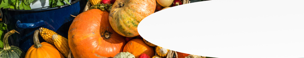 Banner Herbst Kürbis1