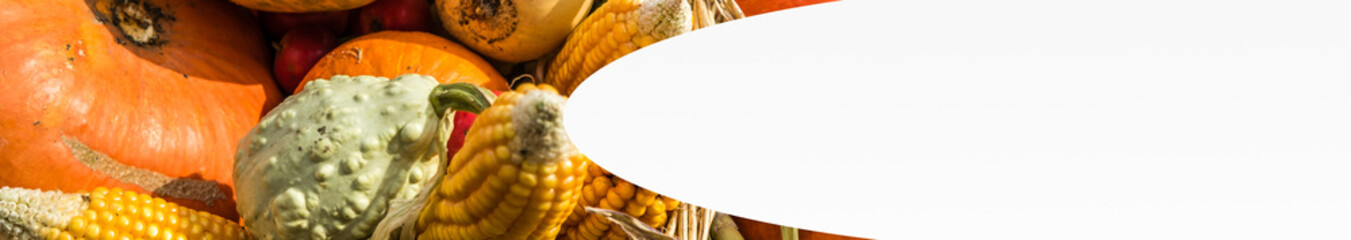 Banner Herbst Kürbis
