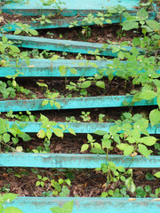 broken wooden staircase (turquoise)